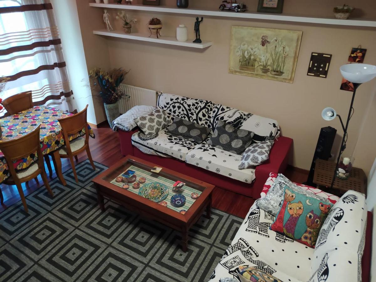 Duplex Amplio,Parking Wifi, 2 Terrazas, Bien Conectado Con Playas, Zona Segura Apartment Vigo Bagian luar foto